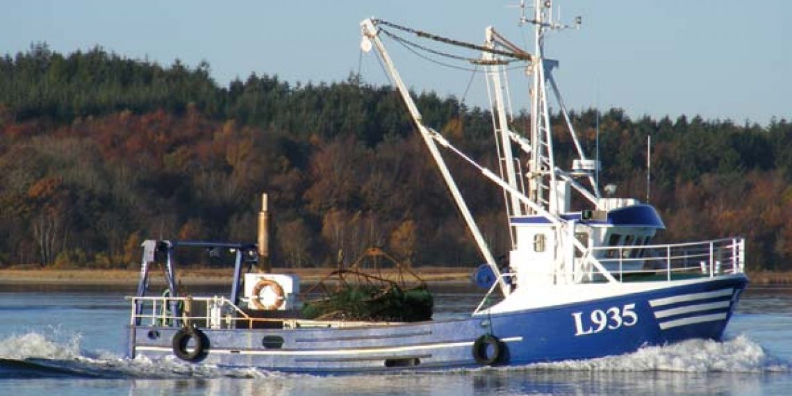 Fiskeriet Efter Bl Muslinger Bner I Dag Fiskerforum