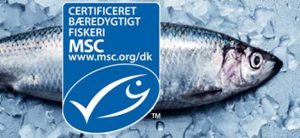 Morgendagens fiskeforbrugere kan gøre en forskel