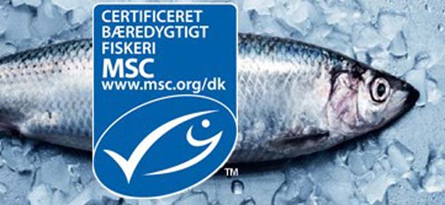 Read more about the article Morgendagens fiskeforbrugere kan gøre en forskel