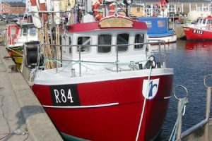 Mens politikerne diskuterer - dør det Bornholmske fiskeri.   Foto: R 84 Concordia Neksø har lagt op - IH