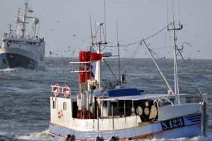 Hvorfor forhaler NaturErhvervstyrelsen undersøgelsen om kystfiskeriet i Danmark