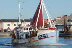 Fødevareministeriets kystfiskergruppe har modstridende interesser
