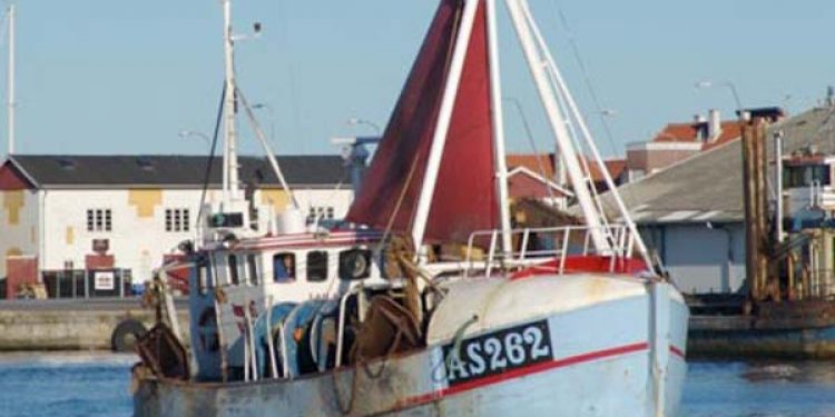 Fødevareministeriets kystfiskergruppe har modstridende interesser