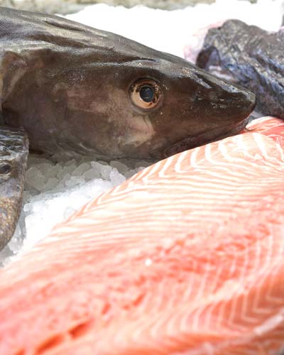 Read more about the article Forskere uenige om fiskerig kost er usundt