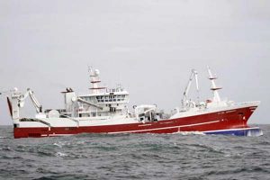 Makreltogtet i Norskehavet melder om store 500 grams makrel i nord.   foto: Brennholm  Fotograf:  KiB