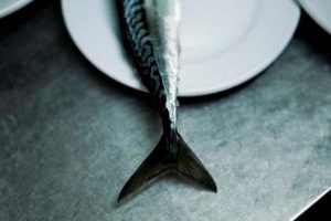 Temadag – fra fisk til færdigvare.  Foto: Teknologisk Institut inviterer i samarbejde med FoodNetwork og InSPIReFOOD til Temadag - Teknologisk Institut