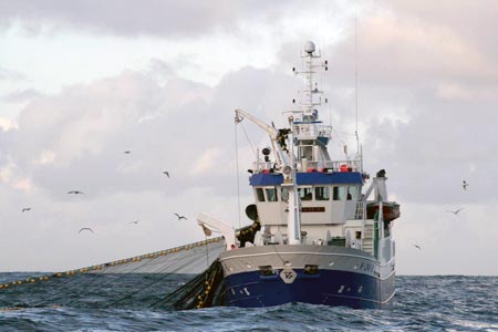 Read more about the article Giv fisken strøm