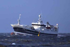 Nyt fra Færøerne uge 48. Den danske not / trawler HG 264 Ruth lander en last på 1600 tons sild i Tyskland.  Foto: HG 264 Ruth - HHansen