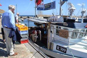 Havfrisk fisk med i  - Sol over Gudhjem.  Foto: R309 Janne med skipper Bent Lemvig Pedersen  Fotograf:  Cecilie Hansen