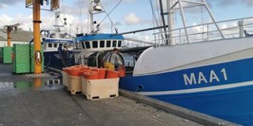 En tysk trawler landede forleden 500 - 600 kg jomfruhummer, hvor en tilsvarende dansk hummertrawler på samme dag landede mindre end 100 kg.   Foto: CSH