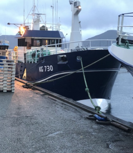 Færøerne: Hvid-fiskeriet har kronede dag