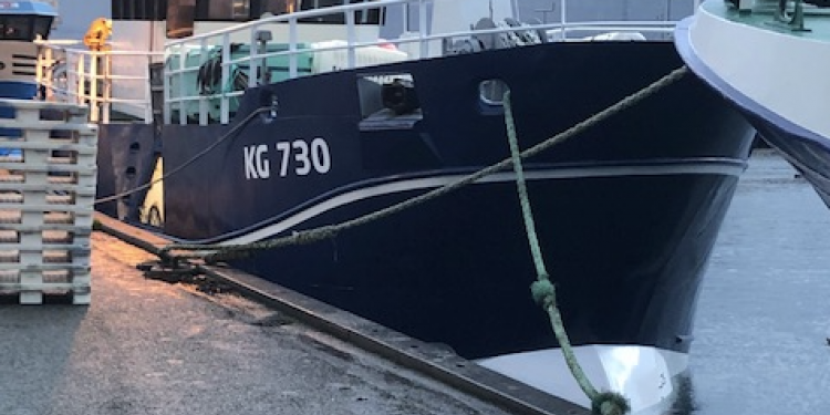 Færøerne: Hvid-fiskeriet har kronede dag