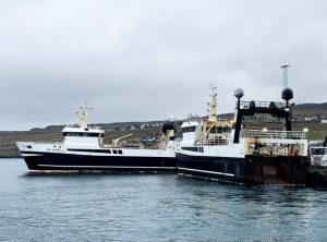 Færøerne: Så landes der igen guldlaks til Kósin i Klaksvik foto: Polarhav og Stjørnan - Kiran j