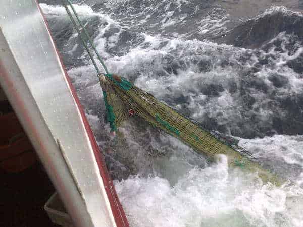 Read more about the article EU-aftale hjælper mindre fiskere