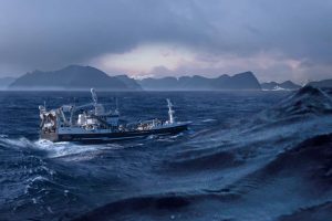 Hos Fiskefabrikken Pelagos i Fuglefjord, har det dårlige vejr haft en direkte indflydelse på størrelsen af landinger af makrel foretaget af de færøske trawlere. foto: Pelagos