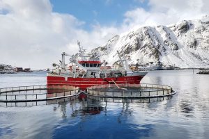 Islandsk selskab har købt nyt fartøj til at fange og opbevare levende fisk