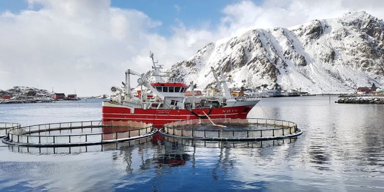 Islandsk selskab har købt nyt fartøj til at fange og opbevare levende fisk