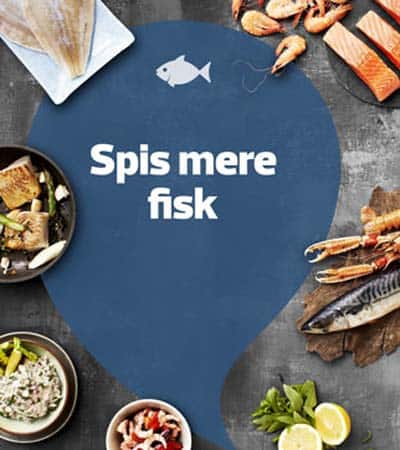 Read more about the article Håndboldherrerne spiser fisk