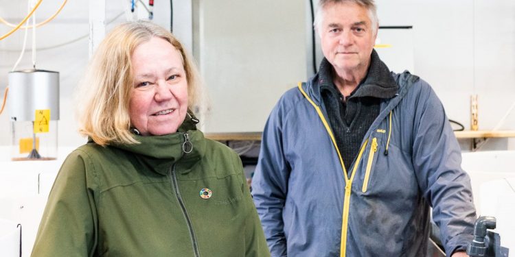 Birgitta Nordberg og Anders Mangor-Jensen skal forsøke å oppdrette rødspette. Det har ikke blitt gjort på HI siden andre verdenskrig. Fotograf: Christine Fagerbakke / Havforskningsinstituttet