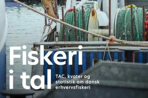 Fiskeri i tal - dfpo