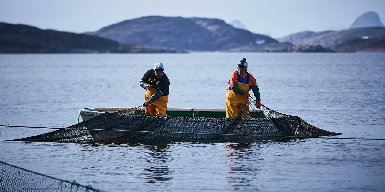 Read more about the article Så er det tid til at fejre havets smagfulde stjerne