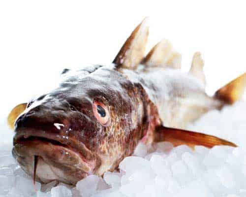 Read more about the article Danskerne elsker fisk – men vi spiser det sjældent