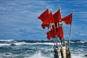 Foråret er kommet til Vestkysten, men for ham med æ bette båd betyder det endnu en dag med tomme garn, fulde rovdyr og en indtjening, der forsvinder i havet. foto: FiskerForum.dk