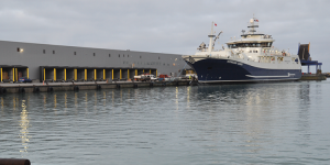 Forhistorien til sagen om Hav Line Gruppens AS nye fabriks- og slagteskib »Norwegian Gannet«, der har sejlet i »oprørte vande« det sidste års tid.