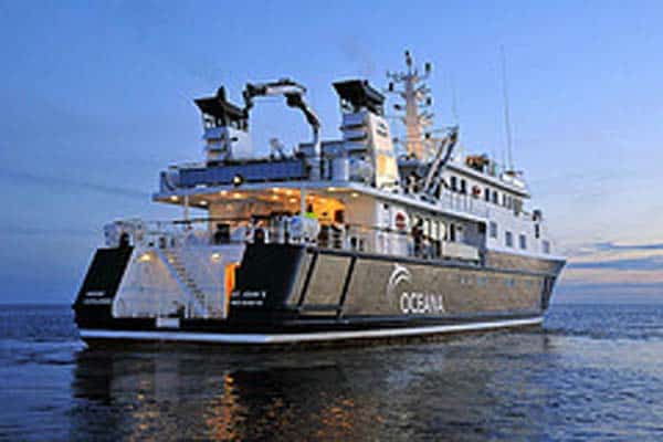 Read more about the article Oceana afslutter sit andet togt i Østersøen