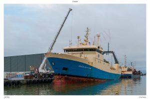 Færøsk rejetrawler fanger rejer ved Øst Grønland og lander i Island