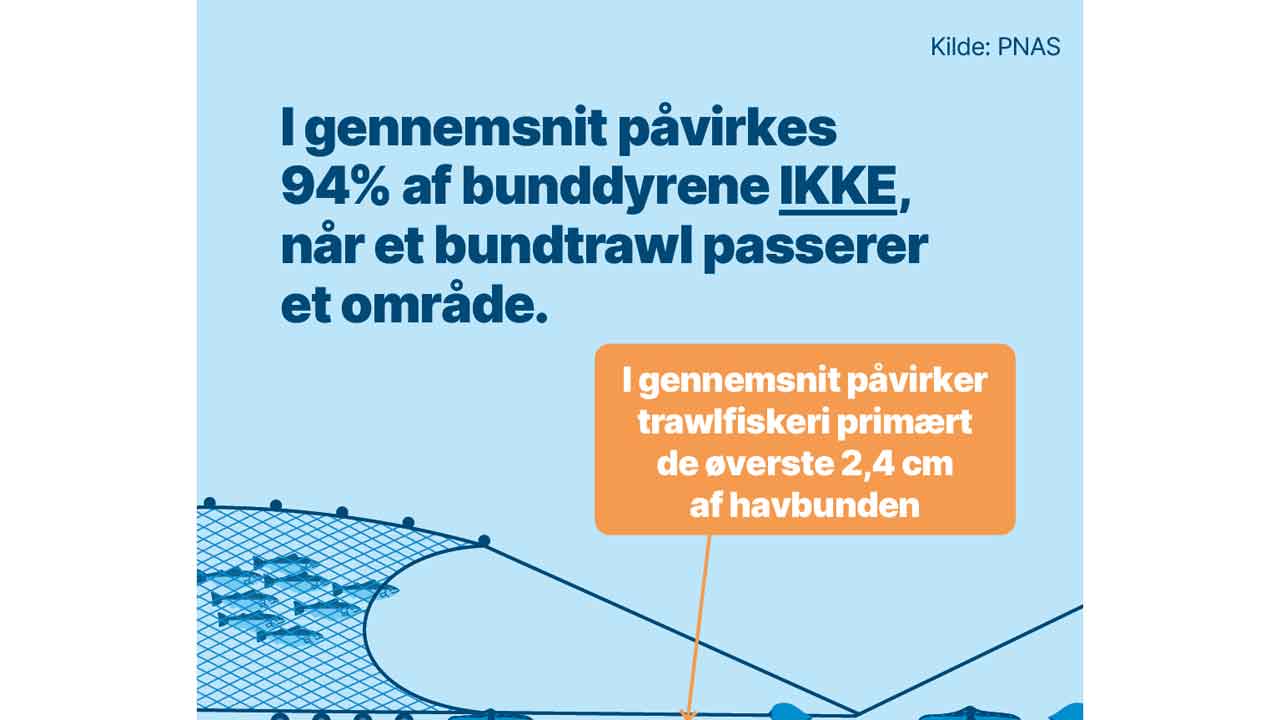 Read more about the article Trawlforbuddet er grøn symbolpolitik der ødelægger fakta og arbejdspladser