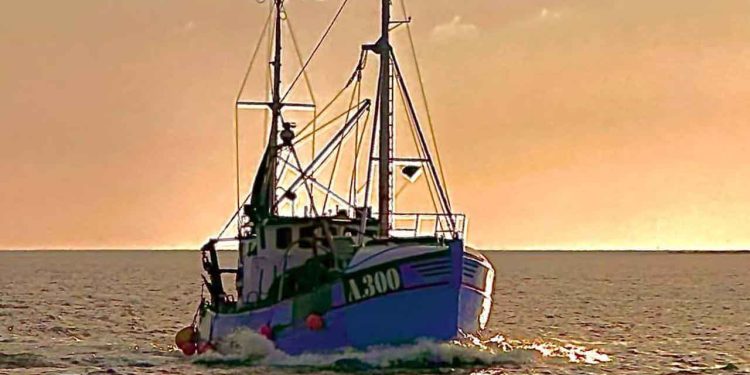 At være jomfruhummerfisker på Læsø er for mange en drøm, der er gået i opfyldelse. Det frie liv, havets vuggende bølger og den friske havluft, er netop et liv fyldt med gode oplevelser og stunder, hvor man sætter kurs mod havnen og får losset samt afregnet for dagens fangster - et nemt og nærmest lykkeligt og sorgløst liv. foto: A 300 Marie Skov