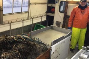 Kulso fiskeriet er startet tidligt i år