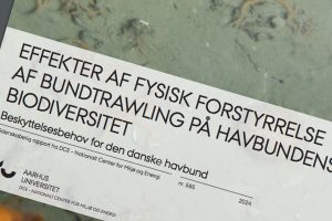 »Rapporten »Effekter af fysisk forstyrreler af bundtrawling på havbundens biodiversitet«, var fejlbehæftede, hvilket selvfølgelig er en alvorlig sagen,« fortæller Fiskeriformanden i denne uges »Formanden har ordet« i Fiskeritidende.dk foto. snapshot AU-rapporten