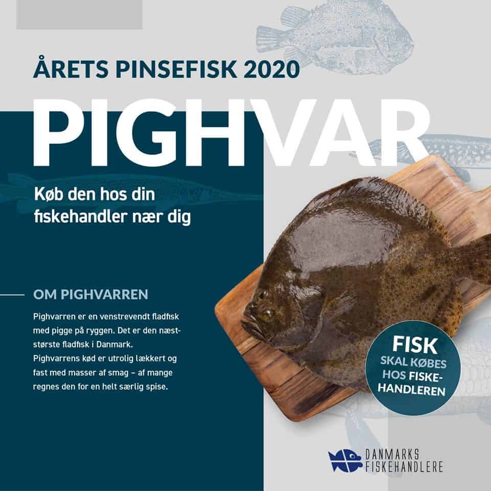 Read more about the article Pinsens fisk 2020 blev en venstrevendt fladfisk med pigge på ryggen
