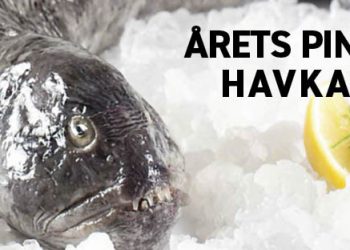 Årets pinsefisk - havkatten - foto: Danmarks Fiskehandlere