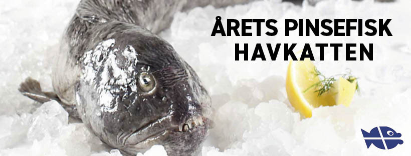 Read more about the article Sølvbryllup for pinsefisken: Havkatten skal på bordet i 2026