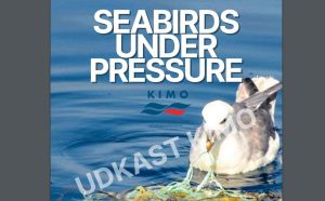 KIMO Havfaldsguide