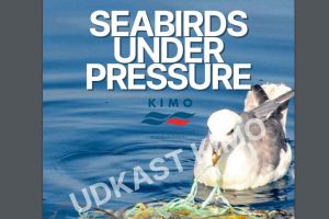 KIMO Havfaldsguide
