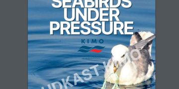 KIMO Havfaldsguide