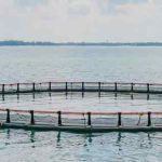 akvakultur - EUC Nordvest