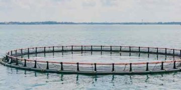 akvakultur - EUC Nordvest