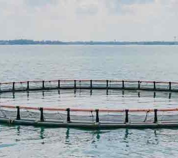 akvakultur - EUC Nordvest