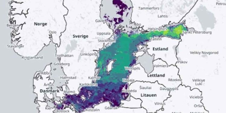 Èn af de mest betydningsfulde kilder til forureningen med kvælstof, er dem atmosfærisk kvælstof, der overvejende stammer fra biler, industriproduktion, og afbrænding af fossile brændsler), som kan finde vej til havet gennem deposition (når kvælstofpartikler i luften falder til jorden). foto: Havørredfiskeri Danmark