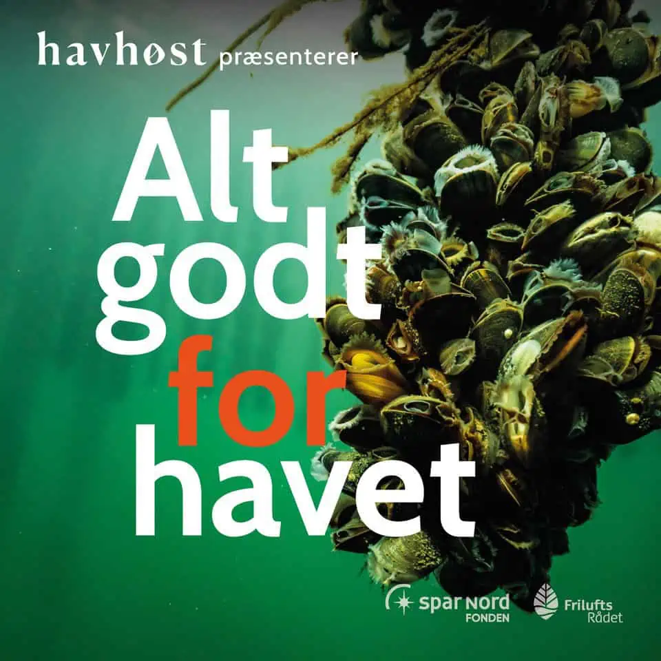 Read more about the article Havhøst: Ny podcast bringer livet under overfladen ud til danskerne