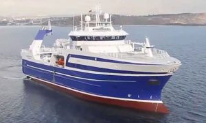 Norsk trawler fisker hele »Hellefiskekvoten« på kun èn uge