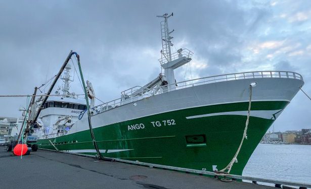 Færøerne: Vardin Pelagic og pelagos samt Havsbrún modtager store mængder makrel foto: kiranj