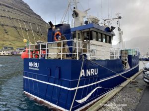 Den færøske linekutter **Anru** landede 13 tons, overvejende lange, som de har haft et godt fiskeri af vest for Færøerne. foto: FS fiskur