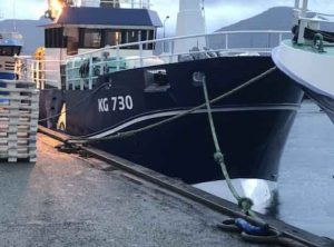 I denne uge har flere færøske fiskefartøjer landet store fangster i Tórshavn. Linekutteren **Anru** landede 27,5 tons fisk, hovedsageligt lange, torsk og kuller, som de havde fanget ud for Island. foto. Fiskur.fo