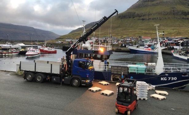 Færøerne: Blandede torsk og kuller landes flittigt foto: Anru - Fiskur - IS